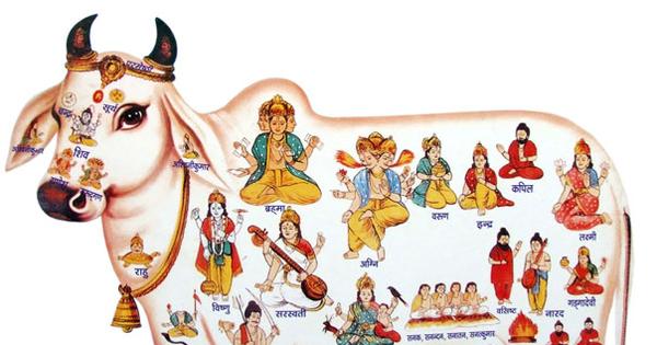 மாட்டிறைச்சியும் இந்துமதமும்