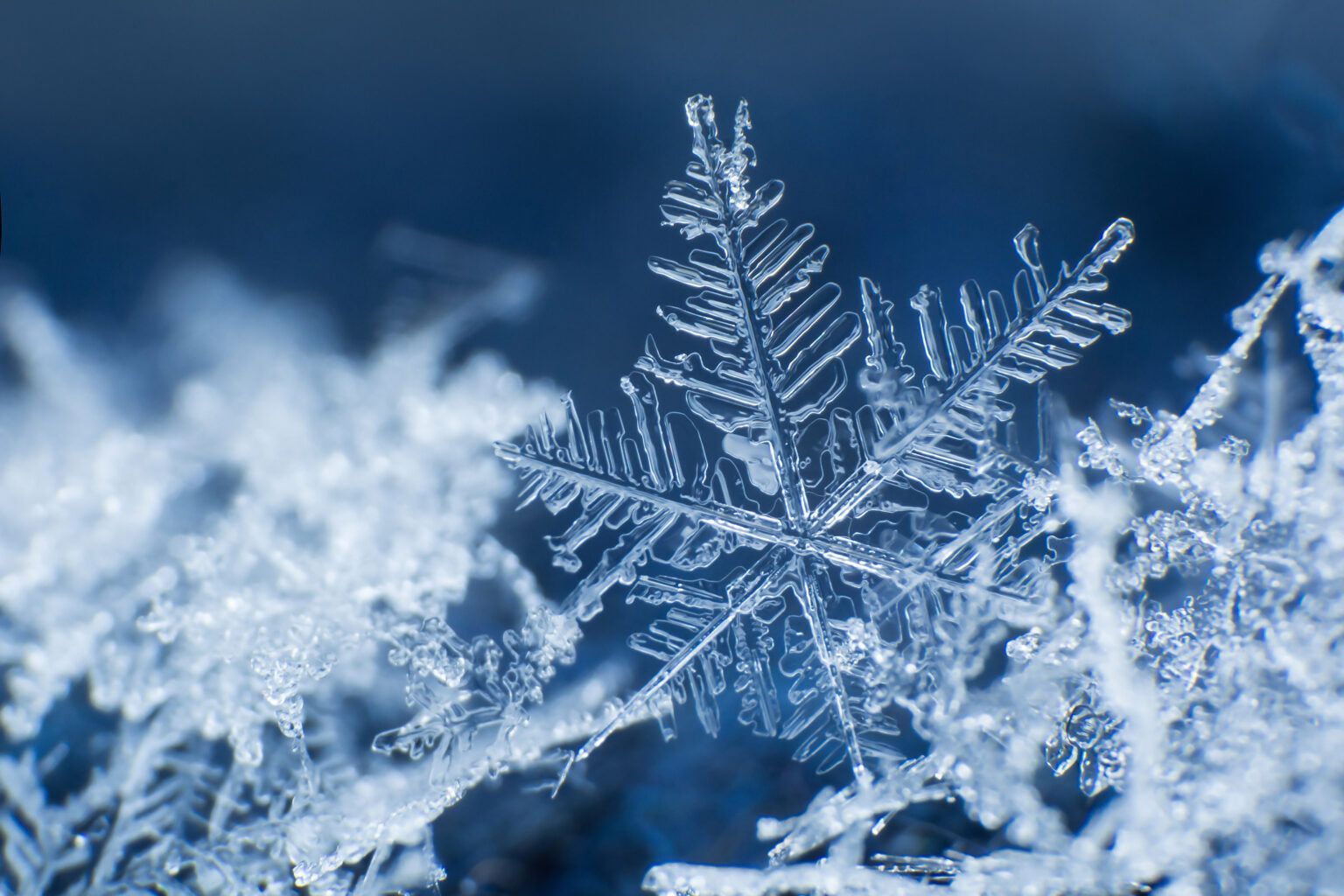 The Snowflake Generation: A Defense