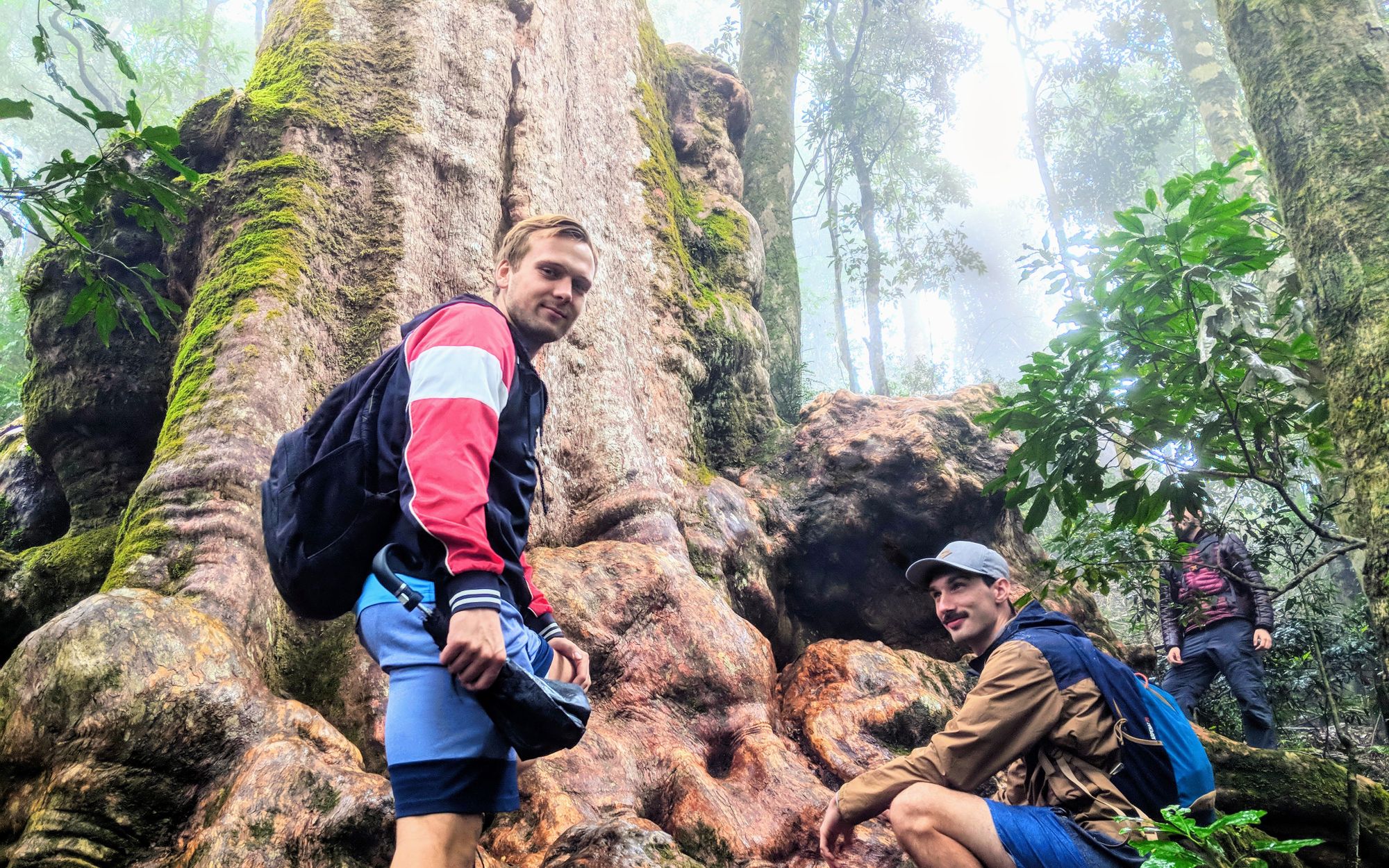 Lamington Hike [Australia 2018]